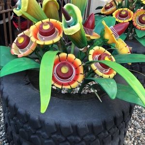 Meet your Posher, Tamara